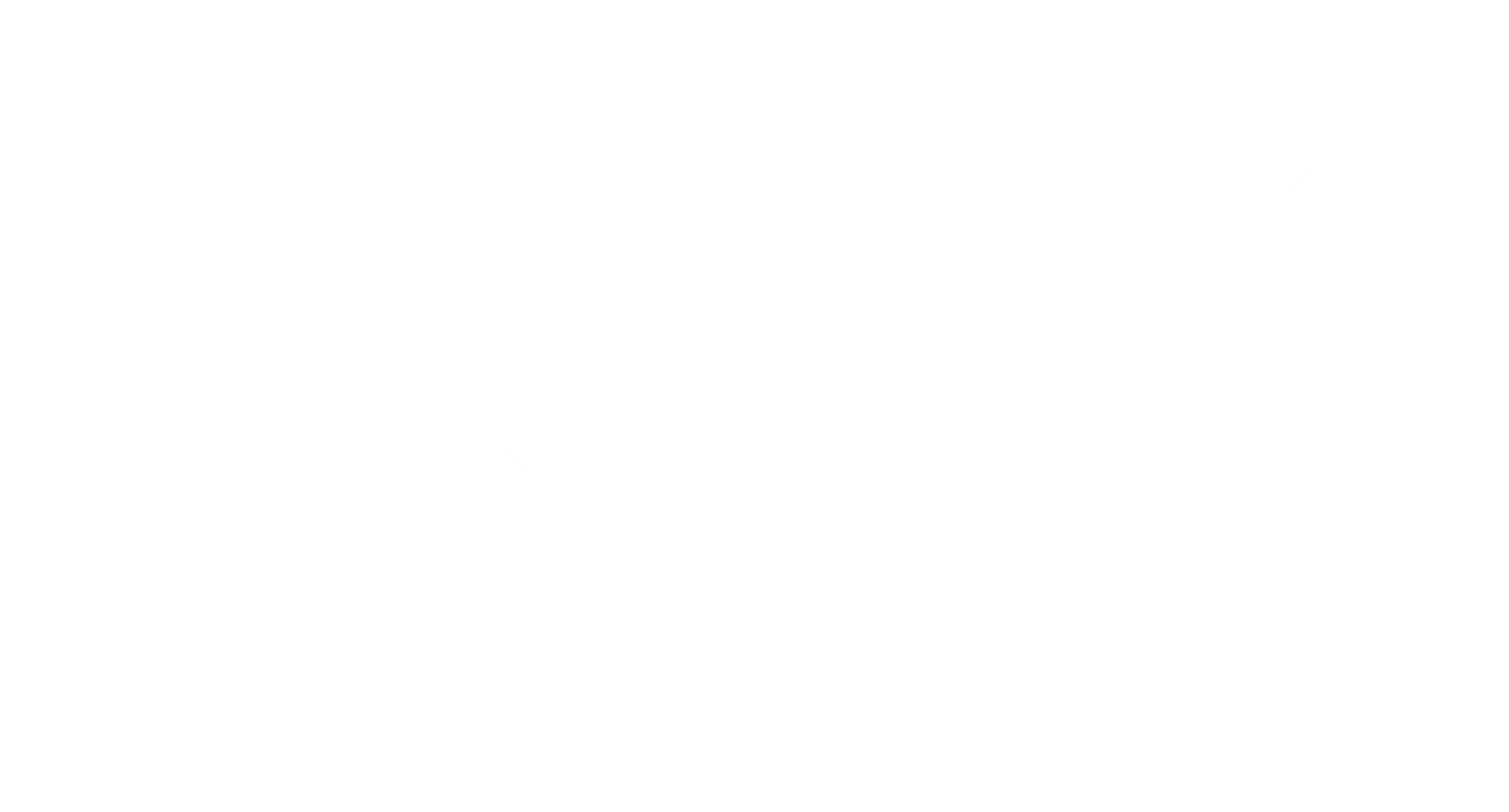 NASEEM